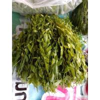 ราคา ยอดผักหวานป่าใบผักหวานป่าแท้ๆ (22230106191)