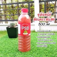 ราคา จุลินทรีย์สังเคราะห์แสง (PSB) 500ml เร่งการเจริญเติบโตพืช ยับยั้งเชื้อแบคทีเรียก่อโรค ขจัดกลิ่นเหม็น (13142583005)