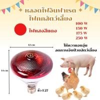 ราคา หลอดไฟอินฟาเรดสำหรับกกสัตว์ ไฟกกไก่ ไฟกกหมู ไฟกกสัตว์ 100W,150W,175W,250W, รุ่น MP-5199 (41627019331)