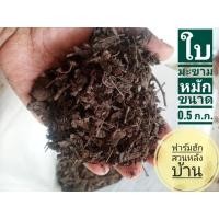 ราคา ใบมะขามหมัก ขนาด 0.5 กิโลกรัม ใบมะขามไทยหมักหยาบ ใบมะขามหมักจุลินทรีย์ ปุ๋ยใบมะขาม ปุ๋ยใบไม้ ปุ๋ยอินทรีย์ (23443826439)