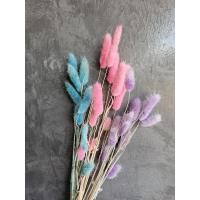 ราคา ดอกหางกระต่ายย้อมสี ดอกหางกระต่ายฟอกสี ดอกหญ้าแห้ง ดอกหญ้าหางกระต่าย หญ้าธรรมชาติ (15498912982)