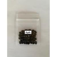 ราคา เมล็ดดอกอัญชัญ (กลีบซ้อน) Butterfly pea 40 เมล็ด (14429877007)