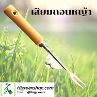 ราคา เสียมถอนหญ้าสแตนเลส สำหรับกำจัดวัชพืช จำนวน 1 เล่ม (3683693112)