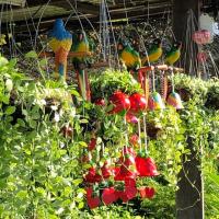 ราคา โมบาย กระดิ่งลม พร้อมต้นเดฟประดับ (4503899418)