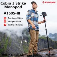 ราคา Ifootage Cobra 3 Strike Aluminium Monopod พร้อมฐาน Minipod โปรไฟล์ต่ําและหัวของเหลว K5S (41975009482)