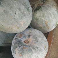 ราคา ฟักหอม(ฟักแฟง-ฟักเขียว) (42361547640)