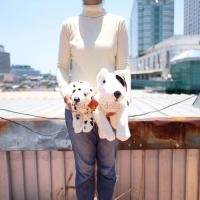 ราคา ตุ๊กตา Bull Terrier 18นิ้ว & Dalmatian 15นิ้ว ท่าหมอบ สุนัข Anee Park อานี ปาร์ค (4444722444)