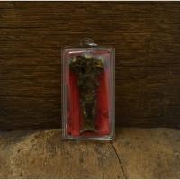 ราคา พราย ลูกกรอก 3 หัว หลังยันต์แม่นางกวัก กุมารทองหลวงพ่อเต๋ กุมารหลวงพ่อเต๋ คงทอง วัดสามง่าม นครปฐม (23383714971)