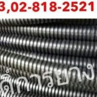 ราคา ท่อกระดูกงูร้อยสายไฟ 10มิล (1235524571)