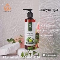 ราคา แชมพูมะกรูดและสารสกัดข้าวก่ำ (1297776027)