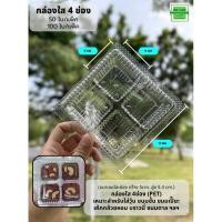 ราคา กล่องพลาสติกใส4ช่อง เหมาะใส่วุ้น บราวนี่ เค้กกล้วยหอม ขนมชั้น ซื้อเยอะยิ่งคุ้ม (696926934)