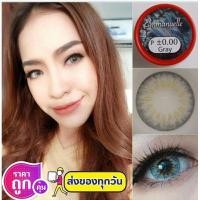 ราคา บิ๊กอาย คอนแทคเลนส์ รุ่น Emmanuelle gray ฝาแดง ยี่ห้อ Pitchy lens (25685206573)