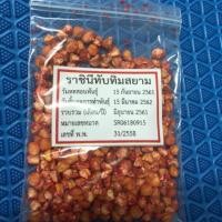 ราคา เมล็ดพันธุ์ข้าวโพดราชินีทับทิมสยาม (1662426171)