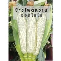 ราคา มาใหม่ เมล็ดข้าวโพดนมสดฮอกไกโด ข้าวโพดญี่ปุ่น ข้าวโพดนมสด ทานสด ทานดิบหรือทานสุกได้ (12835140933)