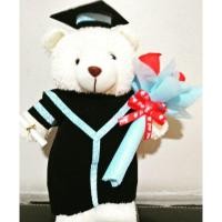 ราคา น้องหมีรับปริญญา (1452604395)