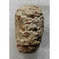 ราคา A207 พระสมเด็จม้วน พระสมเด็จ วัดระฆัง เนื้อผง ไม่ทราบยุค พระเครื่อง สวยเก่า เชิญเลือกตามชอบ (51350956331)