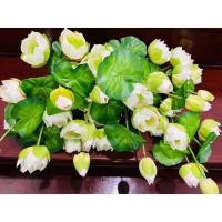 ราคา ดอกบัว (ดอกบัวหลวงสีขาว 1ช่อ มี7ก้าน ดอกบาน3 ตูม 1 ใบ 3 ) พร้อมใช้งทนแดด ทนฝน งานผ้าอย่างดี ดอกไม้ประดิษฐ์ ดอกไม้ไหว้พระ (16199952691)