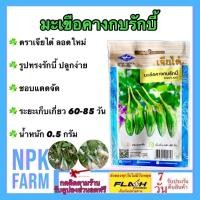 ราคา เจียไต๋ มะเขือเปราะ คางกบ รักบี้ หมดอายุ 12/2569 จำนวน 200 เมล็ด ทรงหยดน้ำ ขั้วใหญ่ รสชาติดี กรอบ (27111608861)