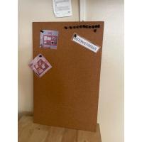 ราคา IKEA FLONSA กระดานติดข้อความ บอร์ดติดข้อความ+หมุด 15 ตัวไ ม้ก๊อก, 52x33 ซม Noticeboard (23746735829)