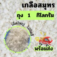 ราคา เกลือสมุทร เกลือเกล็ด เกลือทะเล เกลือใช้หมักดอง เกลือใช้ปรับสภาพผิวดิน เกลือใช้ใส่บ่อปลา เกลือบริสุทธิ์ไม่ขัดสี (40104703565)