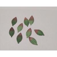 ราคา ใบไม้กระดาษสา ดอกกระดาษสา งานฝีมือ งาน DIY งาน handmade ประดิษฐ์ดอกไม้ ประดับบอร์ด (100ชิ้น/แพ็ค) (9088932506)