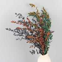 ราคา ใบยูคาลิปตัสแห้งสำหรับการจัดดอกไม้และการออกแบบ DIY (55400509469)