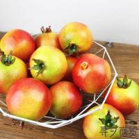 ราคา ทับทิมปลอมรุ่น เอมิเลชั่น ผลไม้ซูเปอร์มาร์เก็ตแสดงเครื่องประดับอุปกรณ์ถ่ายภาพตกแต่งบ้านแสดง/ทับทิม (49302890860)