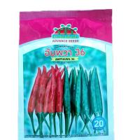 ราคา เมล็ดพันธุ์พริกอัมพวา36ตราตะวันต้นกล้าดกทนโรคเก็บง่าย (44073762922)