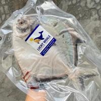 ราคา ปลาเต๋าเต้ยสด ควักไส้ ขอดเกล็ด พร้อมนำไปประกอบอาหาร 1 ตัว 970 กรัม (25891494674)