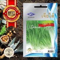 ราคา เมล็ดพันธุ์ กุยช่าย 3กรัม 500 เมล็ด เจียไต๋ (3162476402)