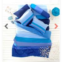 ราคา ผ้าปูที่นอนโลตัส Stripies ลายริ้ว(ไล่สี) LI-SD-15B (4329536988)