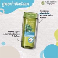 ราคา Yves Rocher BHC Anti Dandruff Treatment Shampoo อีฟ โรเช่แชมพู 300 ml. (11125863651)