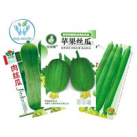 ราคา เมล็ดพันธุ์ บวบหอม/บวมหอมยาว 35 เมล็ด บวบหอมแอปเปิ้ล (25205975181)