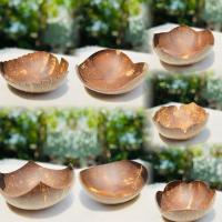 ราคา ชามกะลามะพร้าว, จานกะลามะพร้าวธรรมชาติสําหรับซีเรียล, ชามกะลามะพร้าวสําหรับซุปหวาน, ลูกอม, แยม (29530991063)