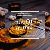 ราคา ขมิ้นชันอินทรีย์บดผง ปลูกไม่ใช้สารเคมีจากแปลงปลูกที่ได้รับมาตรฐานเกษตรอินทรีย์ (8567653914)