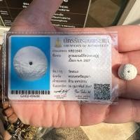 ราคา ลูกอมพิธีเปิดโลกผสมเกสาหลวงปู่ดู่ วัดสะแก ปี2527 เนื้อผงอิทธิเจ(หายากสุดๆ)ผสมเกสาและผงพุทธคุณ พร้อมบัตรรับรองพระแท้ (25115207673)