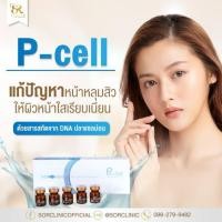 ราคา p-cell อย.ไทย ฟื้นฟูสภาพผิว หลุมสิวตื้นขึ้น (29387738645)