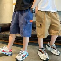 ราคา Tommyจัดส่งทุกวันกางเกงขาสั้นเด็กผู้ชาย, กางเกงคาร์โก้เด็ก, กระเป๋าข้าง, ผ้าฝ้าย, ราคาสมเหตุสมผล, หลวมสบาย (27151198229)