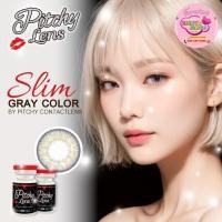ราคา PitchyLens Slim / Maya Eff.19 Gray ใหญ่ (24875869704)