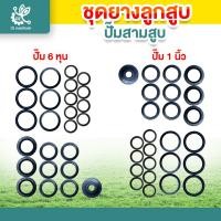 ราคา ยางลูกสูบครบชุด ขนาด 3/4" และ 1" ชุดละ 21 ชิ้น ใช้สำหรับปั๊มพ่นยา 3 สูบ ปั๊ม อะไหล่ปั๊ม พ่นยา อะไหล่ ยางลูกสูบ พ่นยา (41254663941)