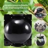 ราคา ชุดต่อกิ่งพรีเมียมรูบอลสวนแบบตัดสาย hh ประธานาธิบดีสายพันธุ์ปลากระพงขาว กรณีปลูกพืชเนอสเซอรี่ ลูกบอลนำกลับมาใช้ใหม่ (43262338986)