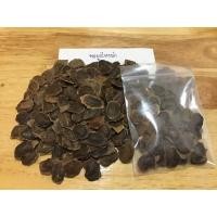 ราคา เมล็ดพะยูงไหหลำ 50 เมล็ด เมล็ดสด มาใหม่!!! (2415309593)