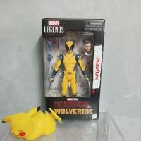 ราคา Hasbro marvel legends wolverine (25638806127)