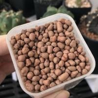 ราคา popper ปอปเปอร์ เม็ดดินเผาโรยหน้าดิน (14750119265)