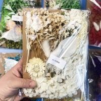 ราคา ดอกไม้นิรันดร์diyลอยดอกไม้เทียนหอมกรอบรูปพัดลมอนุบาลทำด้วยมือนูนแพคเกจวัสดุหลายสีตัวเลือก (29262345454)