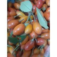 ราคา ต้นละมุดสีดา ผลไม้โบราณหาทานยากมากๆ กิ่งพันธุ์ตอน ต้นใหญ่ แข็งแรง พร้อมปลูก (10387543214)