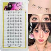 ราคา ขนตาปลอมภายใต้ขนตาการแบ่งส่วนสามเณรธรรมชาติขี้เกียจจําลองปีศาจ Trilogy Eyelash Sun Graftingคลัสเตอร์เดี่ยว (26506512976)