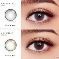 ราคา คอนแทคเลนส์(มินิ)Mini Dolly(Wink) สี : Chestnut / Gray รายเดือน มีค่าสายตา (27255672575)