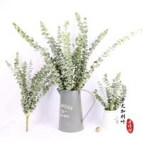 ราคา ผู้ผลิตธรรมชาติใบยูคาลิปตัสแห้งอากาศดอกไม้แห้งขายส่งใบ เสี่ยวหมี่ ช่อดอกไม้ทานาบาตะใน (54102240827)