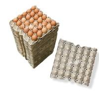 ราคา แผงไข่ไก่กระดาษ มือสอง สินค้าขายเป็นแพ็ค 30 แผง(ไม่มีไข่ไก่) (8851483388)